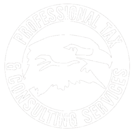 Professional Tax & Consulting Services